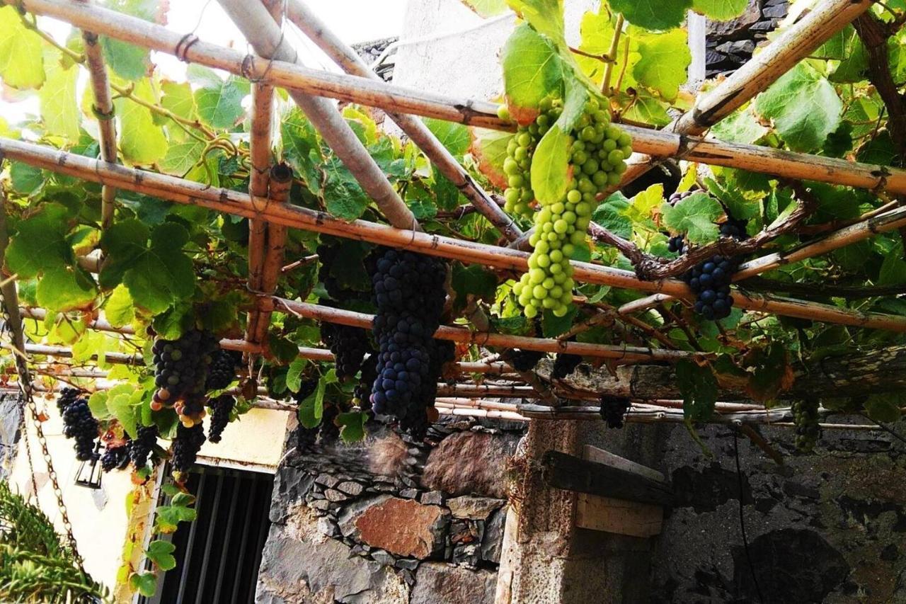 Casa Rural Los Organos De Arguamul Vallehermoso Luaran gambar
